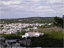 DSCN4215