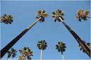IMG_4795