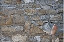 IMG_5447-Muro