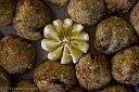 IMG_6904-gnocchi