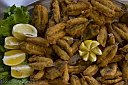 IMG_6905-sardoni