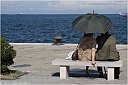 IMG_7017-AlberiPerline