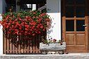 IMG_8577