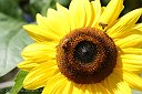 IMG_8579