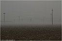 img_0623-Nebbia