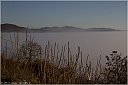 img_0890-Nebbia