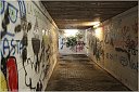 muroIMG_4049